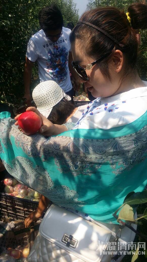 ܫ�ϵ�ƻ�������ޣ����Ŷ��������~