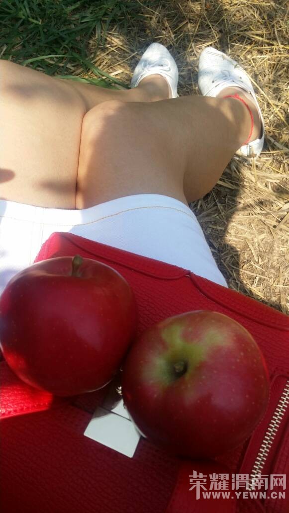 ܫ�ϵ�ƻ�������ޣ����Ŷ��������~