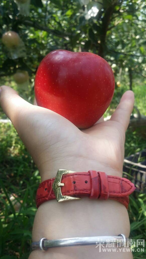 ܫ�ϵ�ƻ�������ޣ����Ŷ��������~