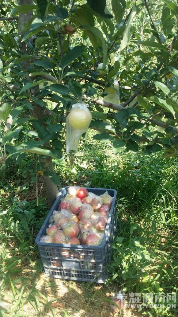 ܫ�ϵ�ƻ�������ޣ����Ŷ��������~