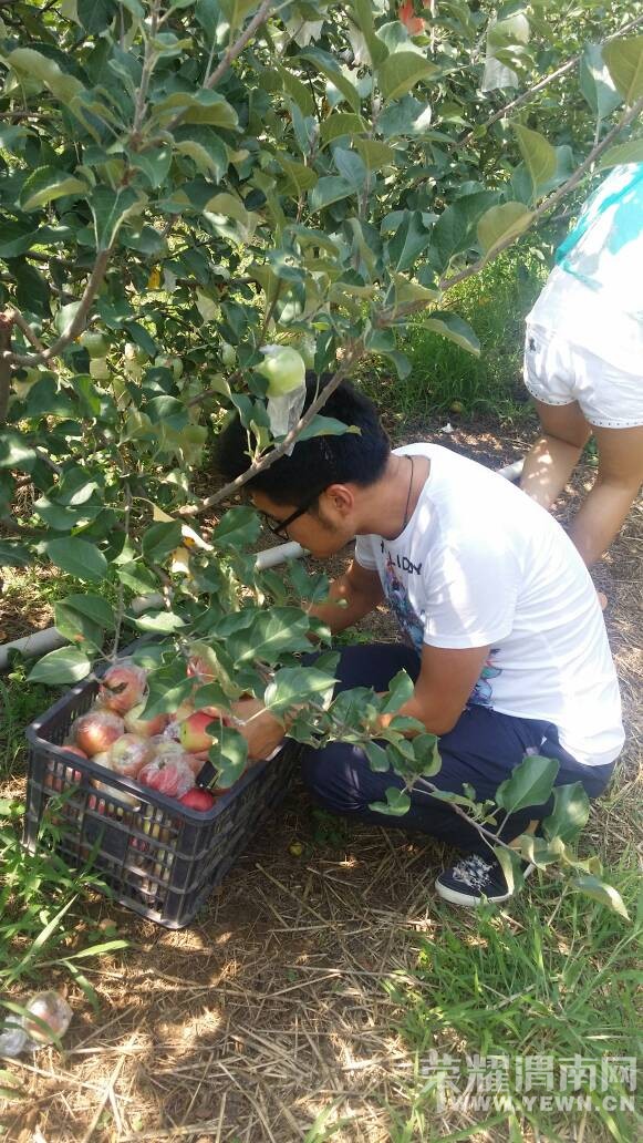 ܫ�ϵ�ƻ�������ޣ����Ŷ��������~