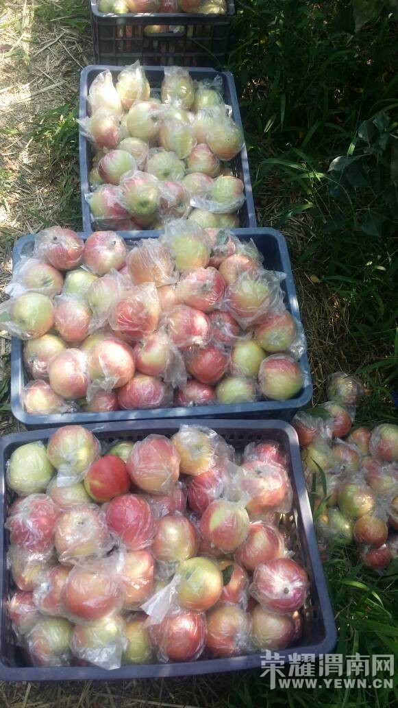 ܫ�ϵ�ƻ�������ޣ����Ŷ��������~