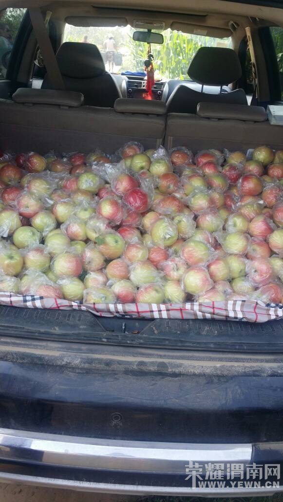 ܫ�ϵ�ƻ�������ޣ����Ŷ��������~