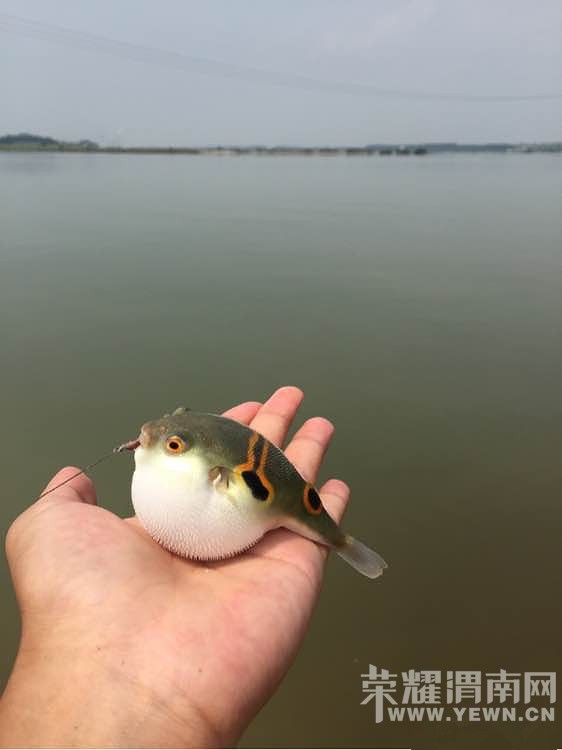 ��~������~˭֪������ʲô������