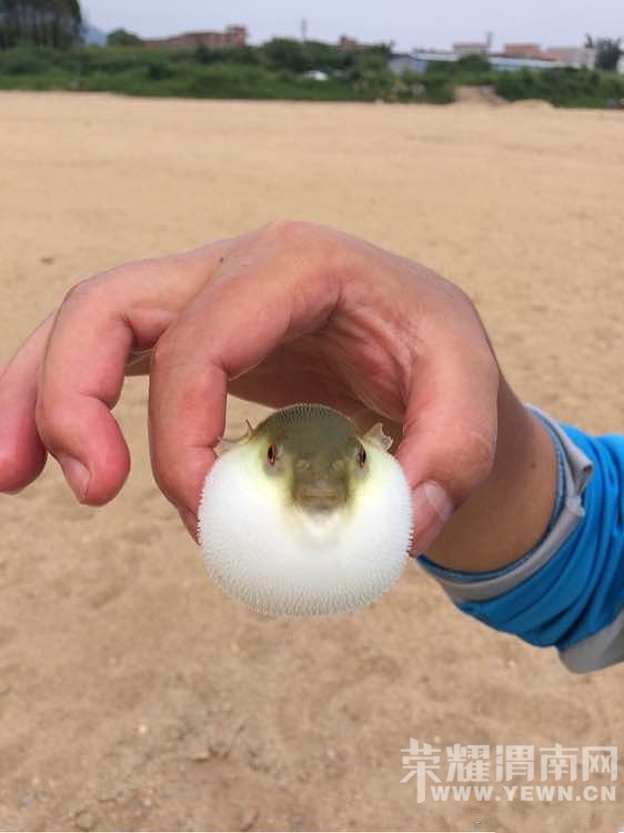 ��~������~˭֪������ʲô������