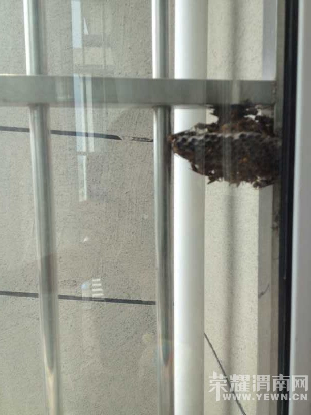 ����Ҳס�߲�������