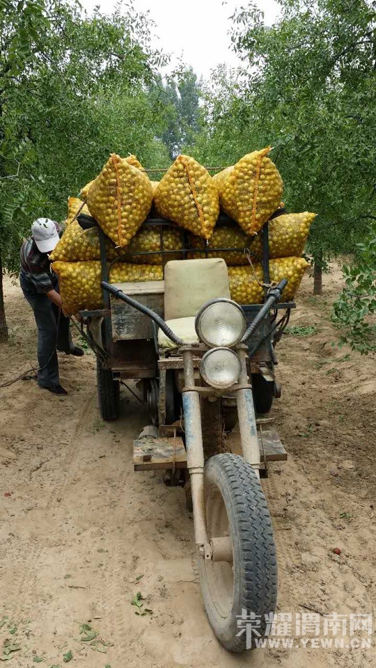 ����Ķ��桰��ë��" ���λ�Ե���˭��