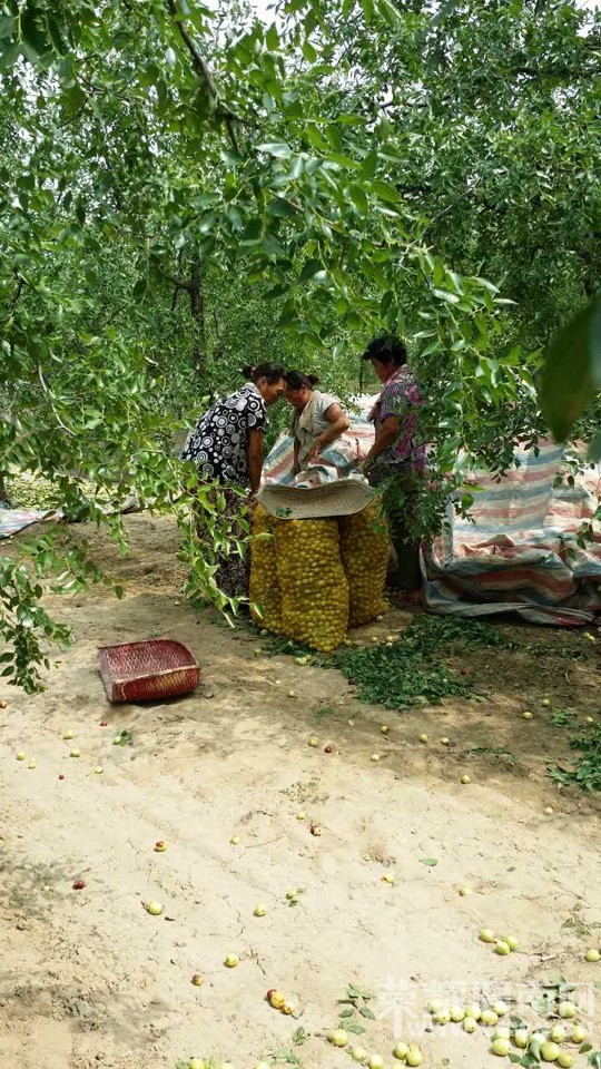 ����Ķ��桰��ë��" ���λ�Ե���˭��