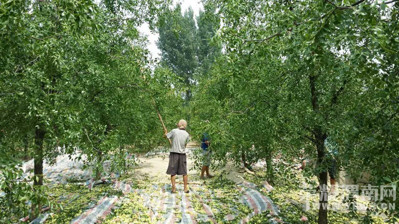 ����Ķ��桰��ë��" ���λ�Ե���˭��