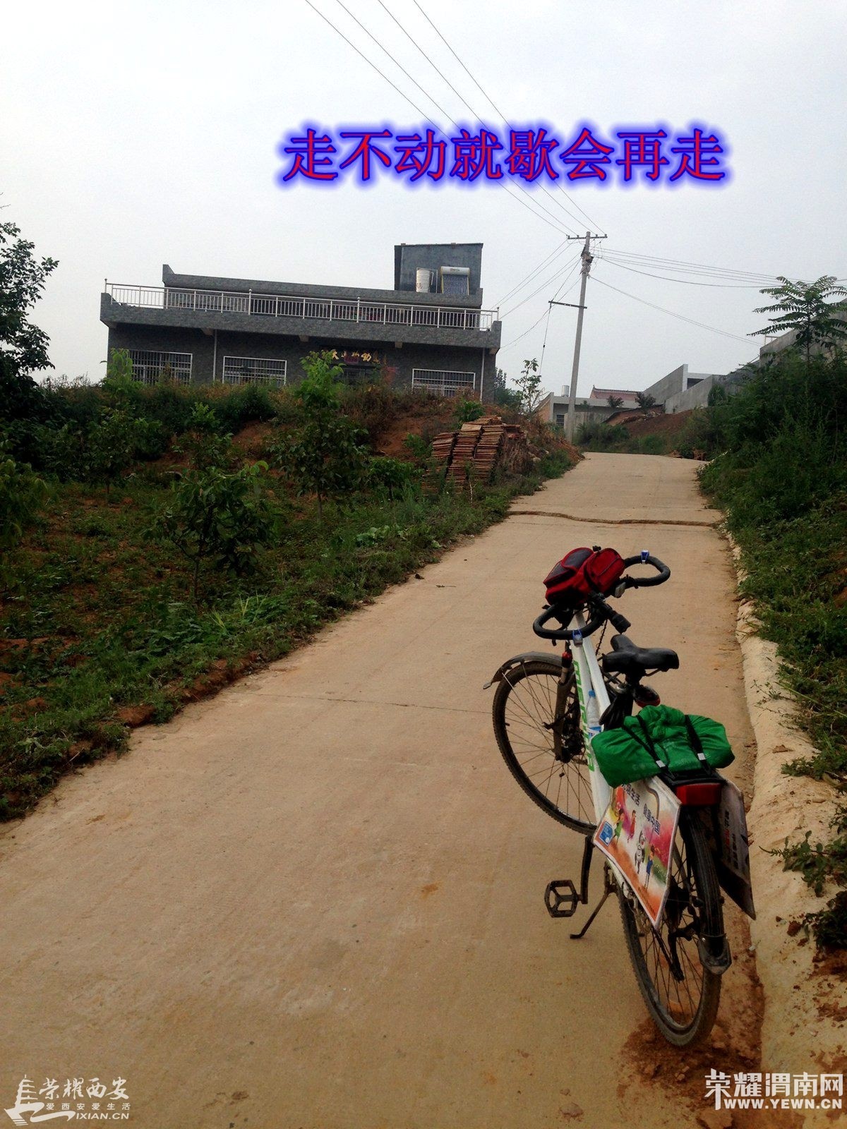 235536hcfxk78pnzponnp1.jpg