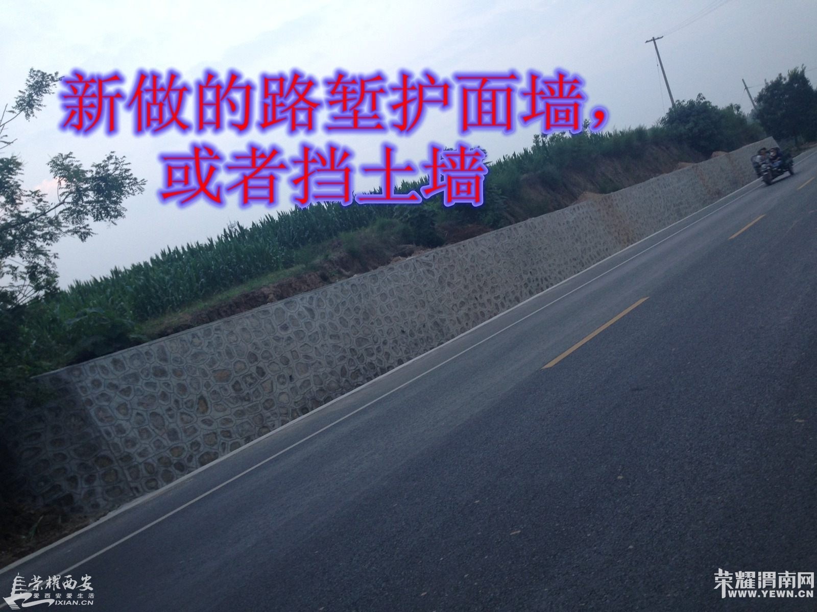 001309g43h69yyzhahyti1.jpg