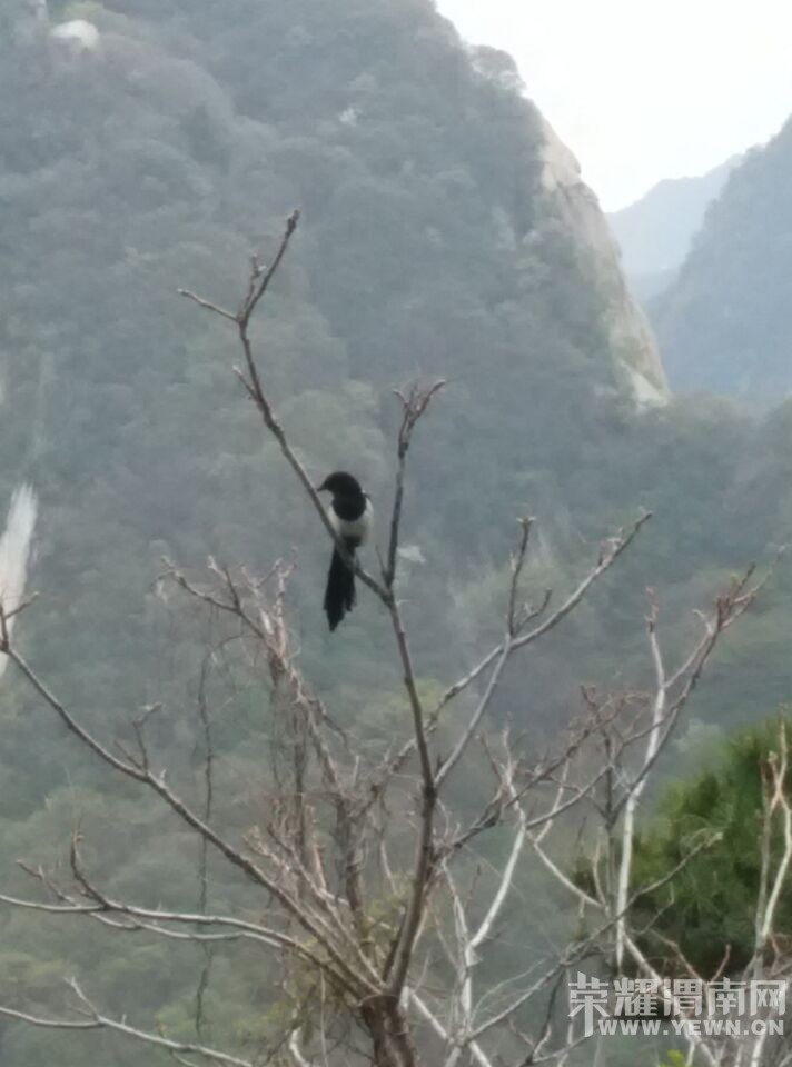 ����ɽ����ϲȵ���������ĺ�������