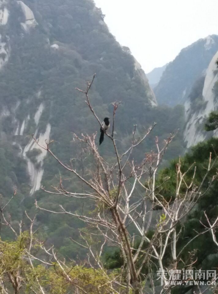 ����ɽ����ϲȵ���������ĺ�������