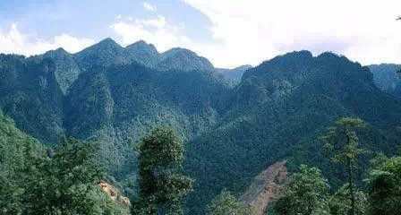 �°��Ԫ�������У�7���ص����࣬������ϵľ�����ȥ����Щ��