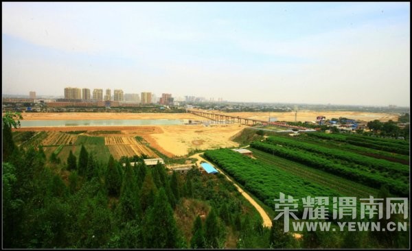 ��չ�е�С��-��ƽ