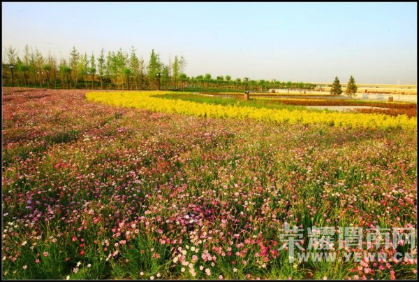 ��չ�е�С��-��ƽ