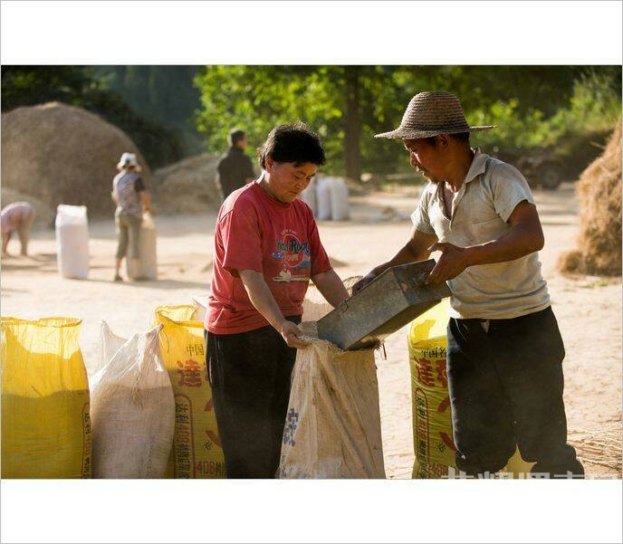 ��Щ�볡ɹ���ͯ�����ӣ�������Ҳ�ز�ȥ��