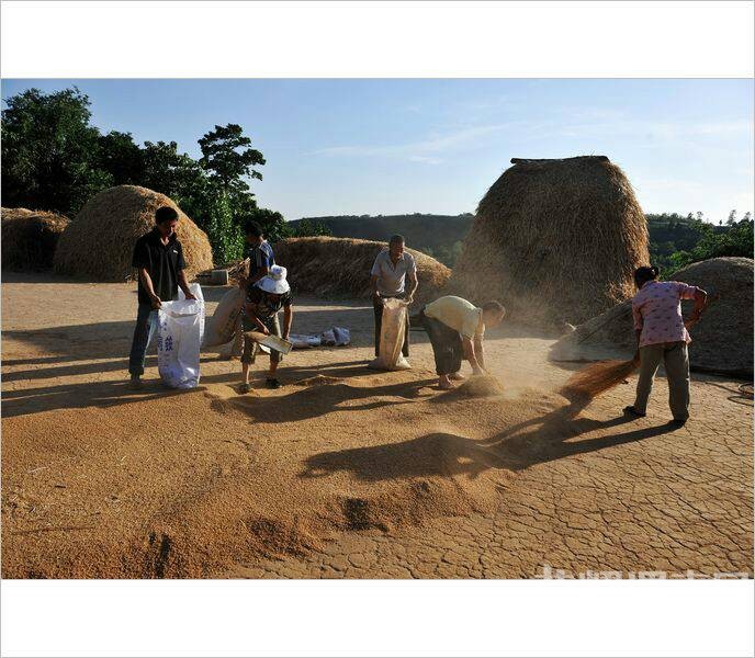 ��Щ�볡ɹ���ͯ�����ӣ�������Ҳ�ز�ȥ��