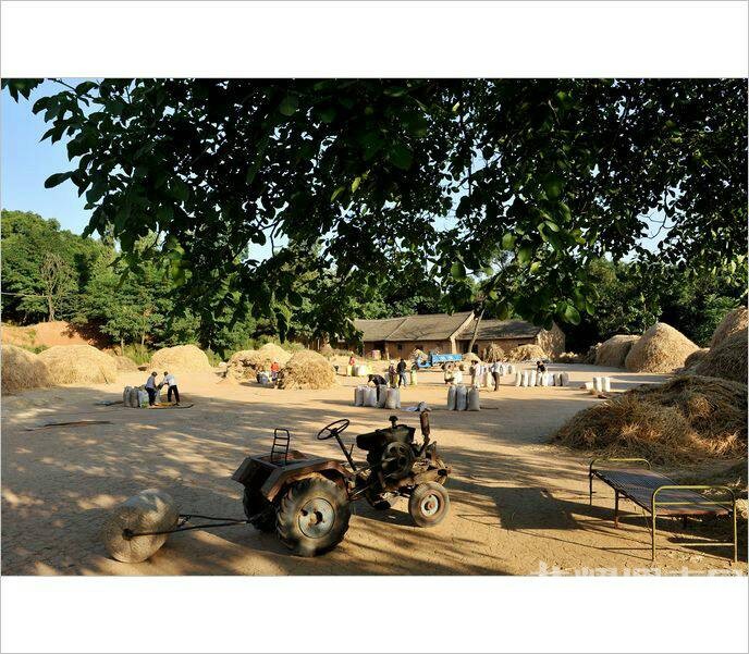 ��Щ�볡ɹ���ͯ�����ӣ�������Ҳ�ز�ȥ��