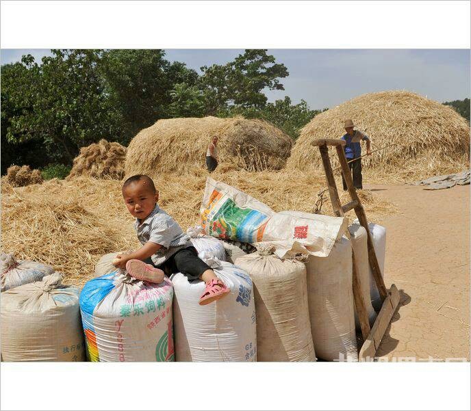 ��Щ�볡ɹ���ͯ�����ӣ�������Ҳ�ز�ȥ��