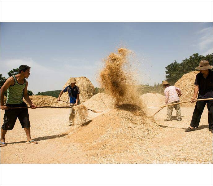 ��Щ�볡ɹ���ͯ�����ӣ�������Ҳ�ز�ȥ��