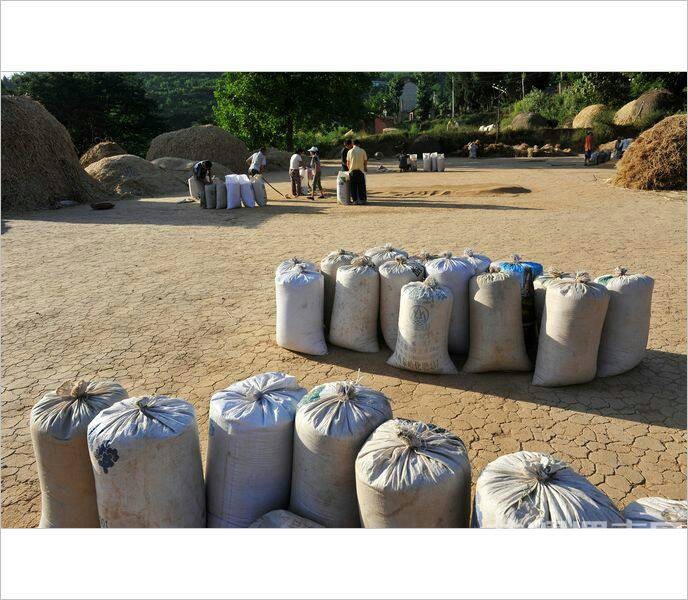 ��Щ�볡ɹ���ͯ�����ӣ�������Ҳ�ز�ȥ��