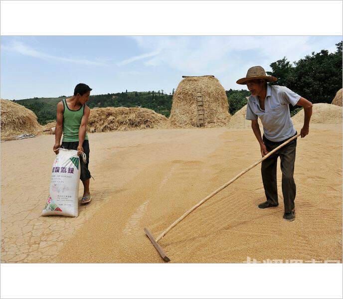 ��Щ�볡ɹ���ͯ�����ӣ�������Ҳ�ز�ȥ��