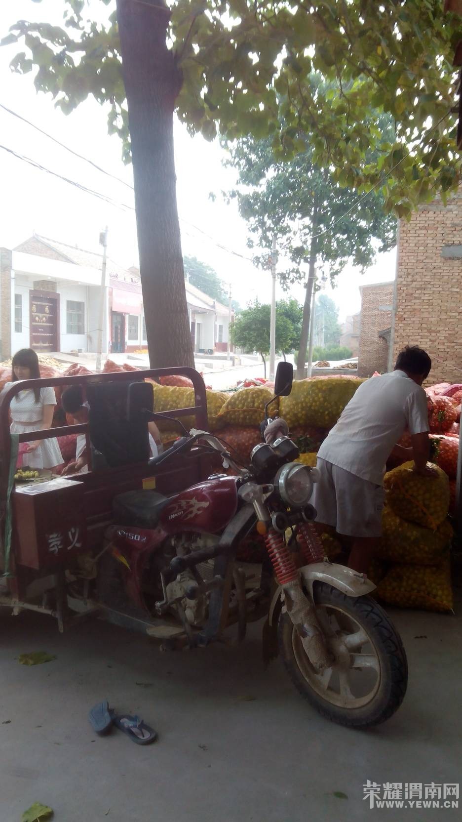 �������鲻̫�� ÿ��4��Ǯũ���Ȿ׬ߺ��