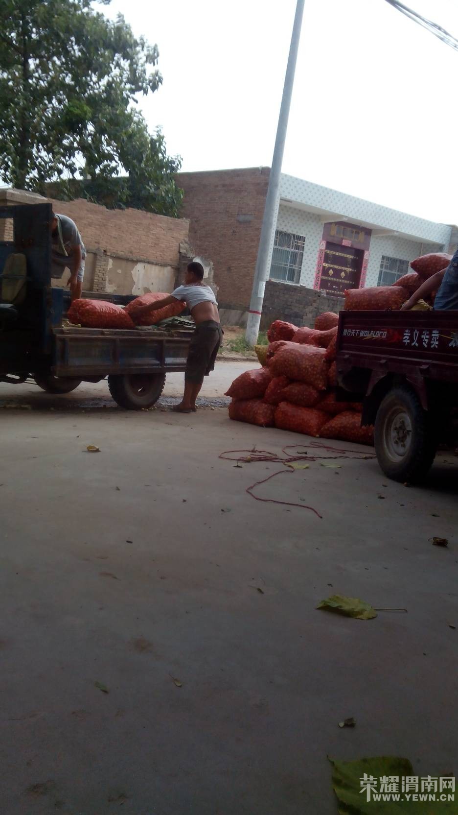 �������鲻̫�� ÿ��4��Ǯũ���Ȿ׬ߺ��