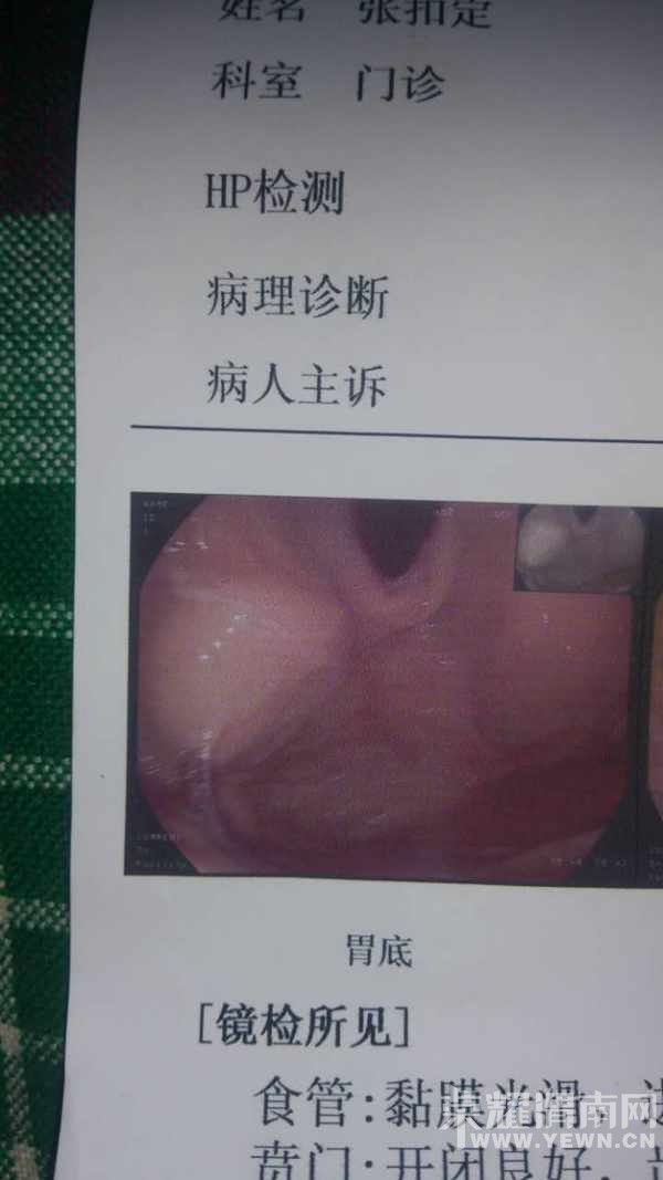 ���Ļ�����ң���Ҷ���ת��