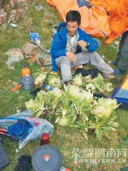 ��������¿�ѵ����½�ѩ���¼� ��ӹ�����Ǹ