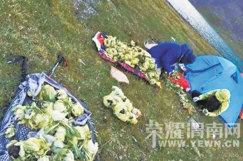 ��������¿�ѵ����½�ѩ���¼� ��ӹ�����Ǹ