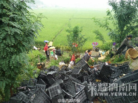 ���������·�෭ 20����4Сʱ�ڱ���������(ͼ)