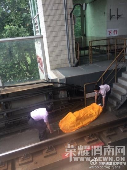 ���������Ϻ������ĺ��߹����������(ͼ)