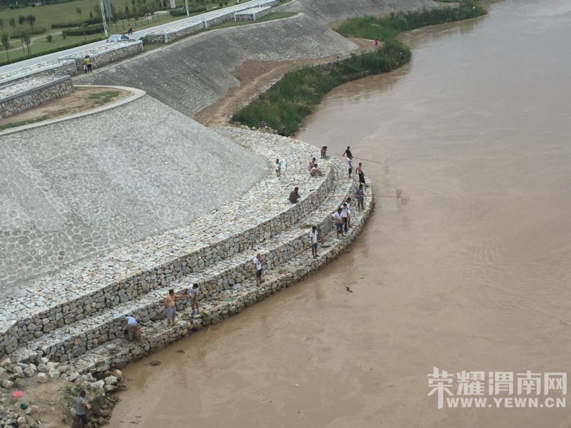 ����ɳ���ŷ���μ�ӱ��кö������� ˮ����̫Σ��