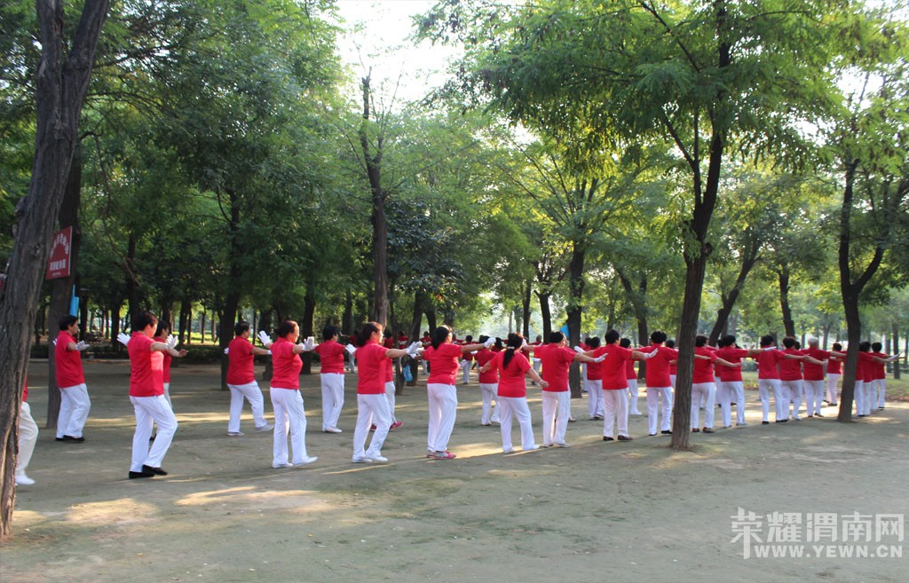 �����ڹ�԰�͹㳡��������뽡��