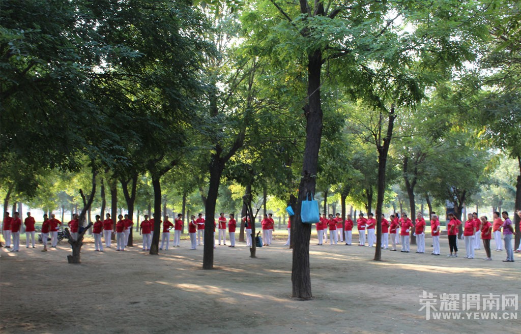 �����ڹ�԰�͹㳡��������뽡��