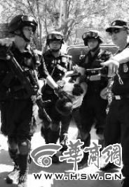 �Ӱ�����ɱ��Ǳ��17������