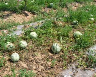 ����ϱ��