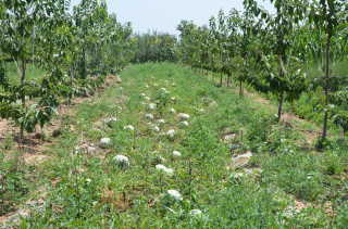 ����ϱ��