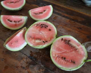 �������ȿ