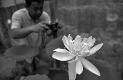 �Ϸʣ���˯600�ع������� ����������Ԫĩ����