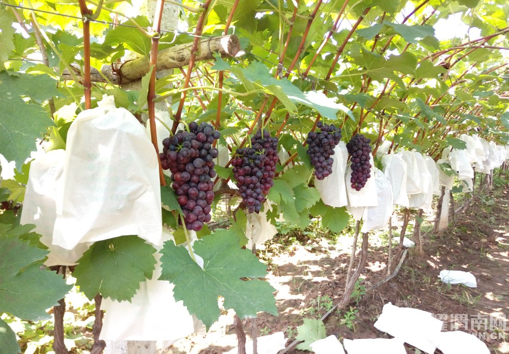 μ������μ������������Ļ�̫�˺����ѿڸм���