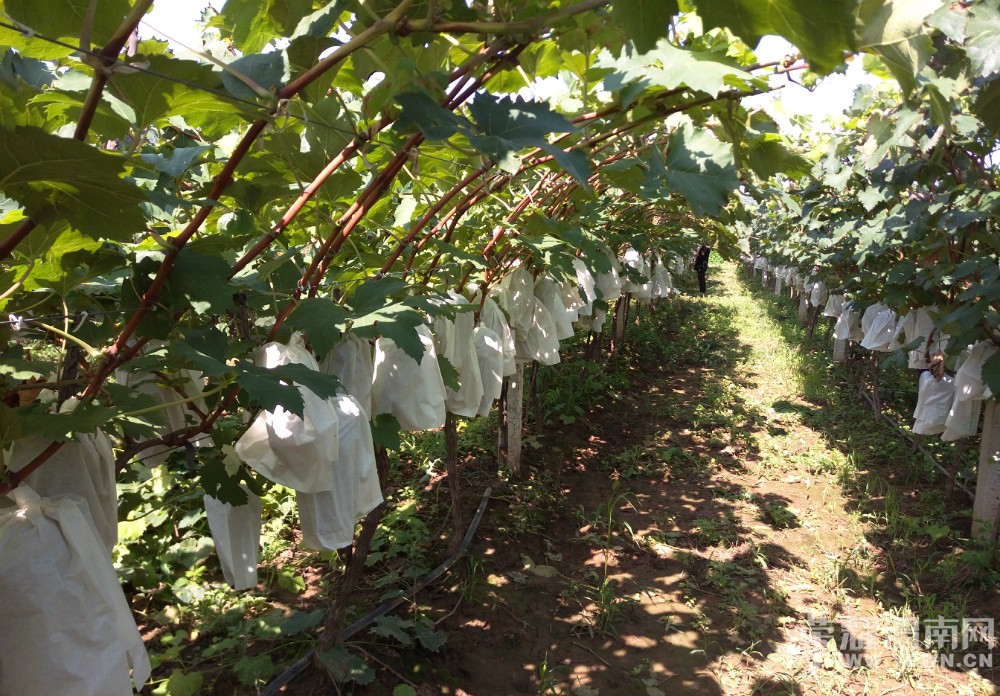 μ������μ������������Ļ�̫�˺����ѿڸм���