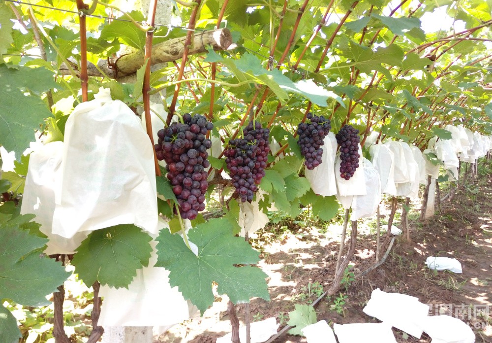 μ������μ������������Ļ�̫�˺����ѿڸм���