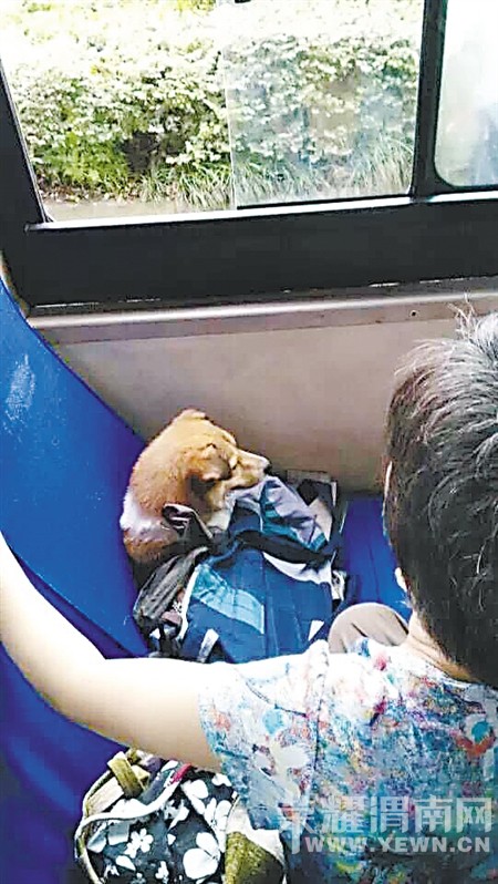 �ϰ���߷幷��ռ��λ ���˳��湷ˢ���͸���