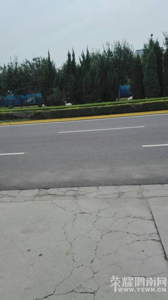 ���˰��򶼷ŵ��̻����ϳԲ��ˡ�����ɶ���ʰ���