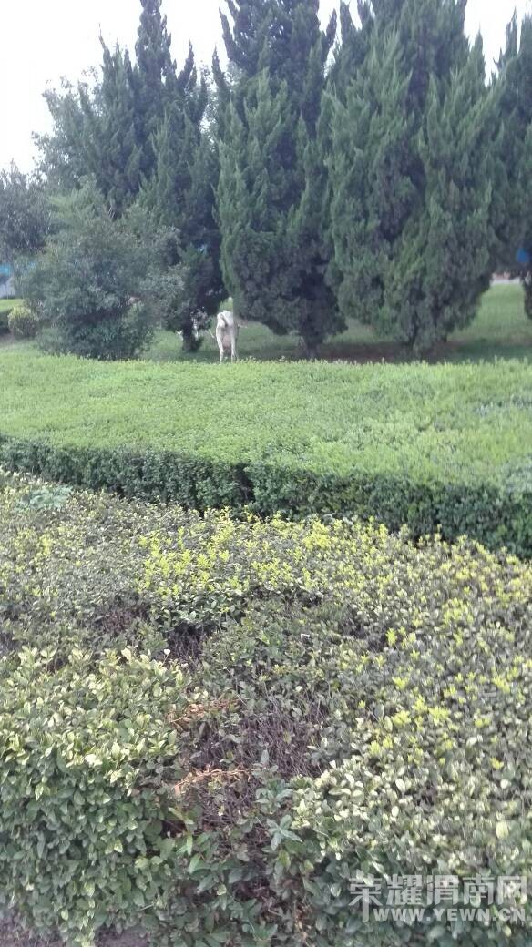 ���˰��򶼷ŵ��̻����ϳԲ��ˡ�����ɶ���ʰ���