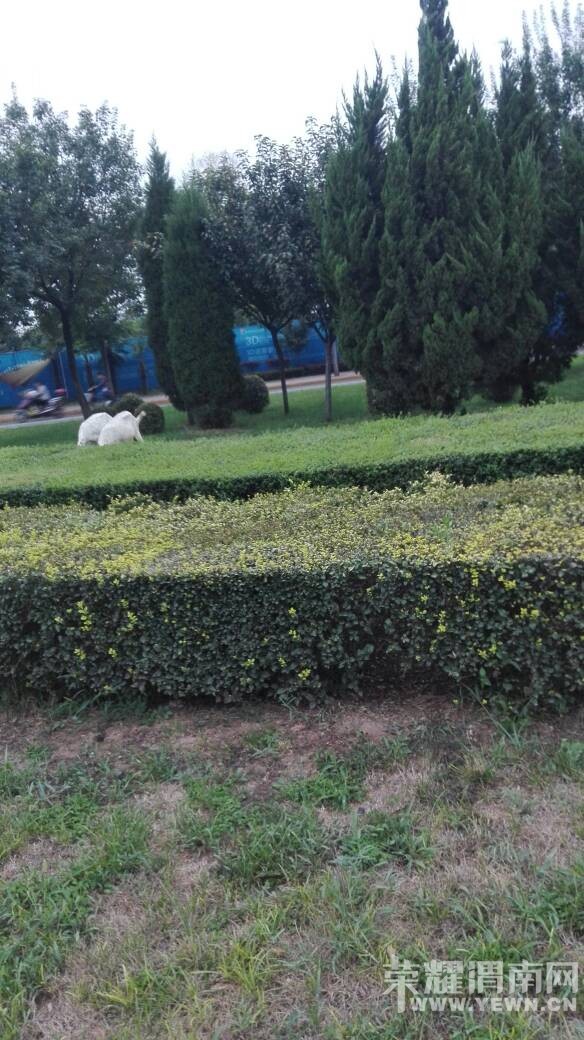 ���˰��򶼷ŵ��̻����ϳԲ��ˡ�����ɶ���ʰ���