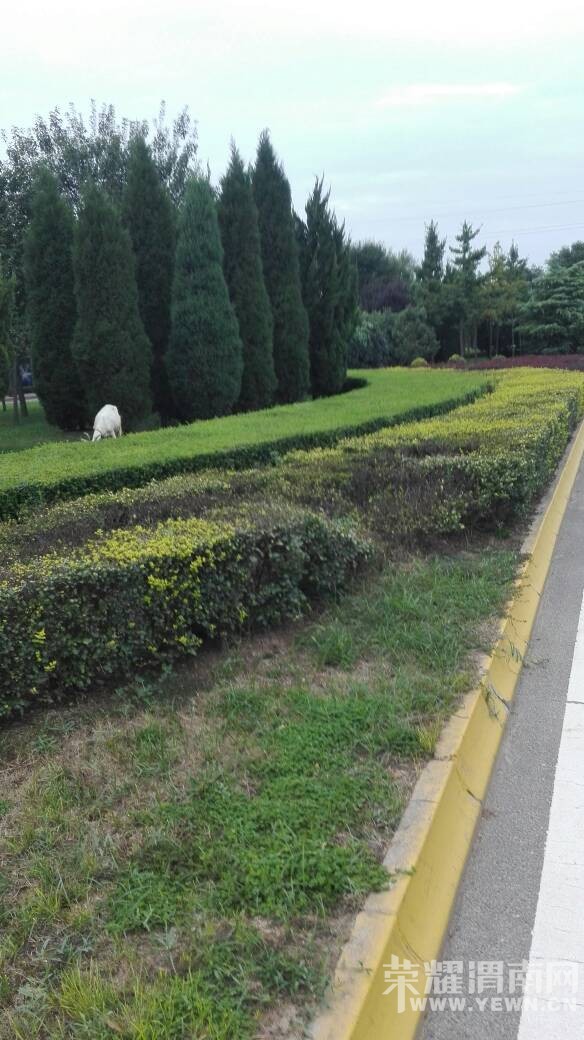 ���˰��򶼷ŵ��̻����ϳԲ��ˡ�����ɶ���ʰ���